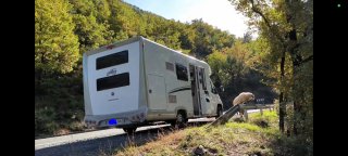 FIAT Ducato 2021