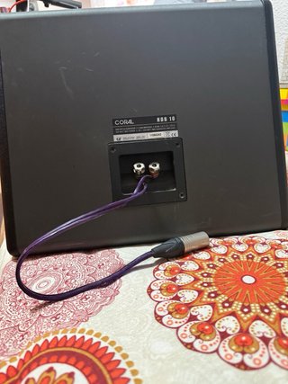 Subwoofer Coral Negro