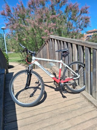 Bici de Montaña Fusion