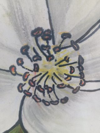SERIE FLORES . Pieza II Flor Blanca Pintura Marco