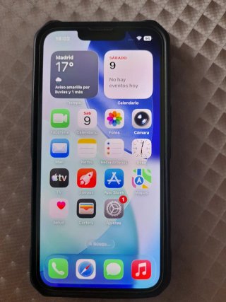 iPhone 13 256GB Negro