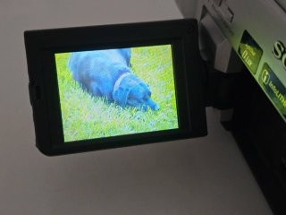 Sony Digital8 DCR-TRV125E Hi8 Video8