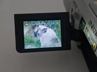 Sony Digital8 DCR-TRV125E Hi8 Video8