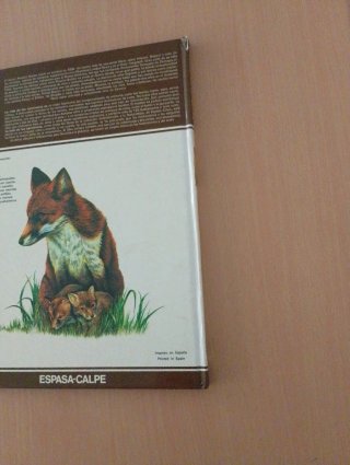 La Vida de Los Carnivoros