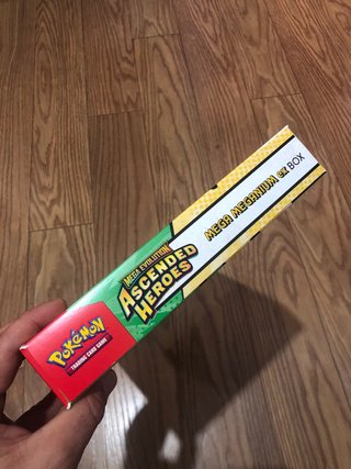 Mega Meganium EX Box Ascended Heroes