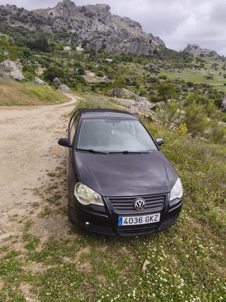Volkswagen Polo 2009