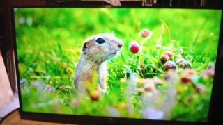 Smart TV LG 55 Negro