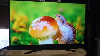 Smart TV LG 55 Negro