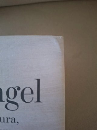 Miguel Ángel. Pintura, Escultura y Arquitectura