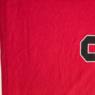 Camiseta Chicago Bulls 8 FSBN XL
