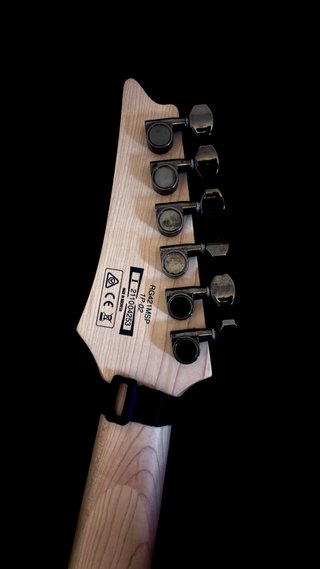 Guitarra Eléctrica Ibanez RG-421MSP
