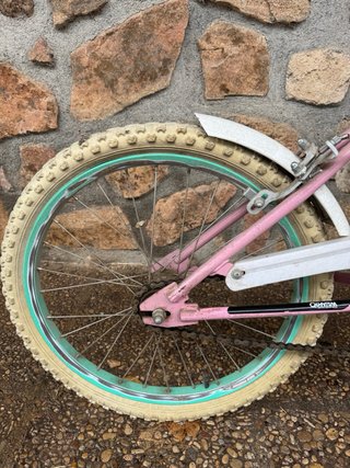 Bici Infantil Quantum Odyssey