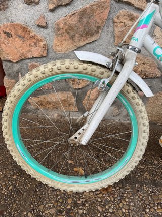 Bici Infantil Quantum Odyssey