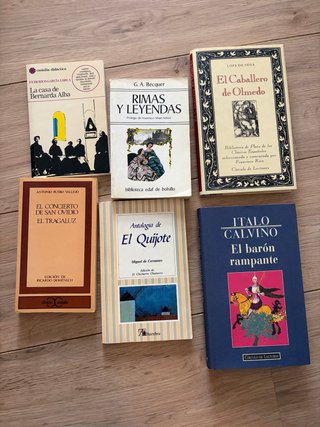 Lote libros clásicos de la literatura española.