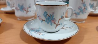 Juego de tė/cafė de porcelana fina