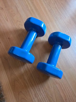 Mancuernas Domyos 5 kg (par)