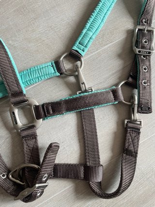 Cabezada caballo Anky