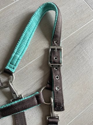 Cabezada caballo Anky