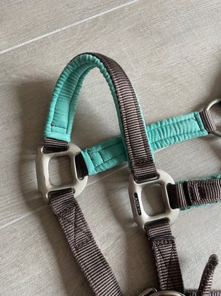 Cabezada caballo Anky