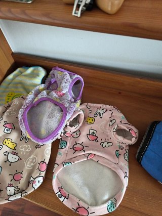 Abbigliamento per cani mini 3kg