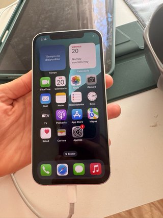 iPhone 12 Negro/Plateado
