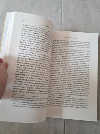 Libro. AMMA. La madre de la Eterna Felicidad.
