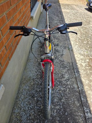 Bicicleta de montaña Globe Trotter s726