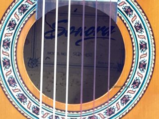 guitarra clasica sonora sgn-450