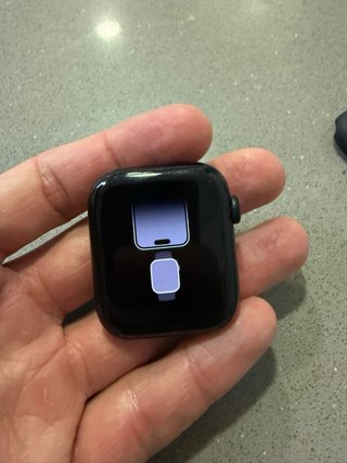 Apple Watch SE 44mm Aluminio GPS