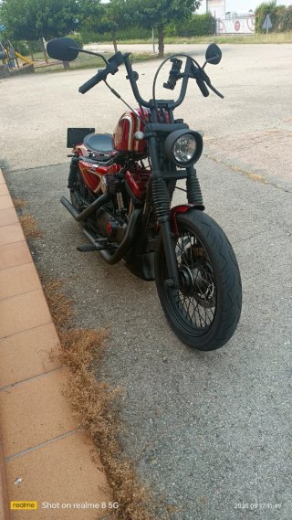 Harley Davidson Sportster 883 Custom