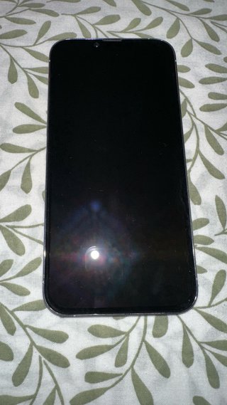 iPhone 13 Pro Max Plata