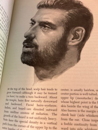 “Atlas of Human Anatomy for the Artist”