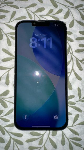 iPhone 13 Pro Max Plata