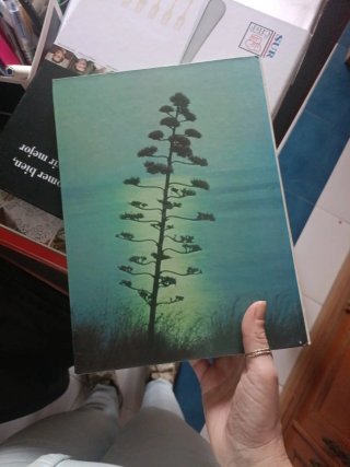 Libro plantas mediterráneas