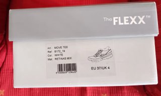 Zapatillas The Flexx plateadas