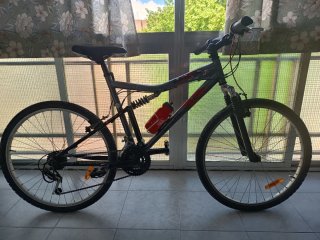 Bicicleta económica