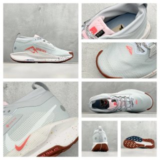 Zapatillas Nike Trail GORE-TEX Multicolores