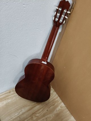 Guitarra con funda