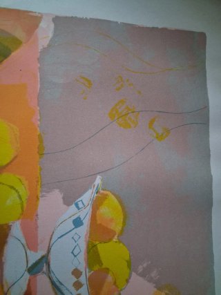 Cuadro frutas.Obra grafica.de Miguel Ibarz Roca.