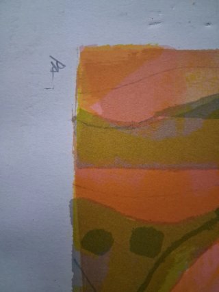 Cuadro frutas.Obra grafica.de Miguel Ibarz Roca.