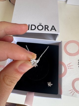 Conjunto de joyas plateado mariposa brillante plat