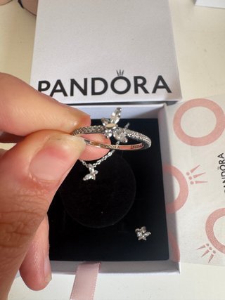 Conjunto de joyas plateado mariposa brillante plat