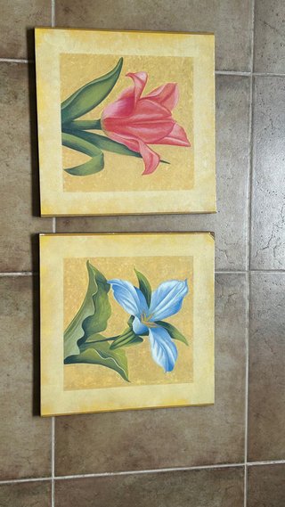 Cuadros de flores (2 unidades)