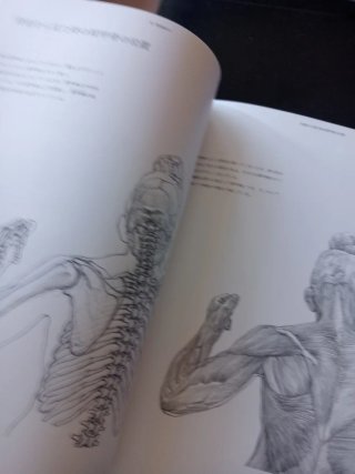 Beautful artista anatomy