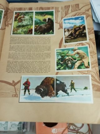 Álbum de cromos Caza Mayor