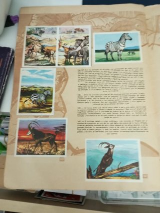Álbum de cromos Caza Mayor