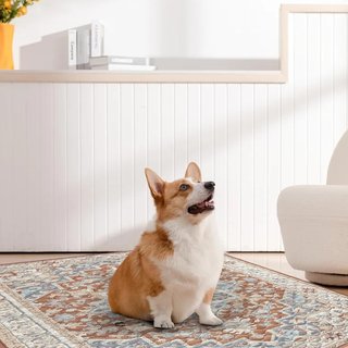 Almohadillas lavables impermeables para cachorros