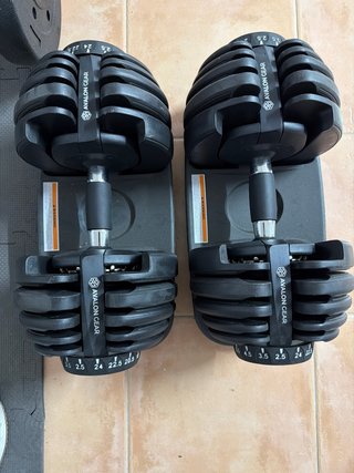 Mancuernas Ajustables Avalon Gear 2.5-24 kg