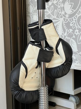 Set Boxeo Domyos: Saco y Guantes