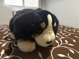 Peluche San Bernardo (Bernie)